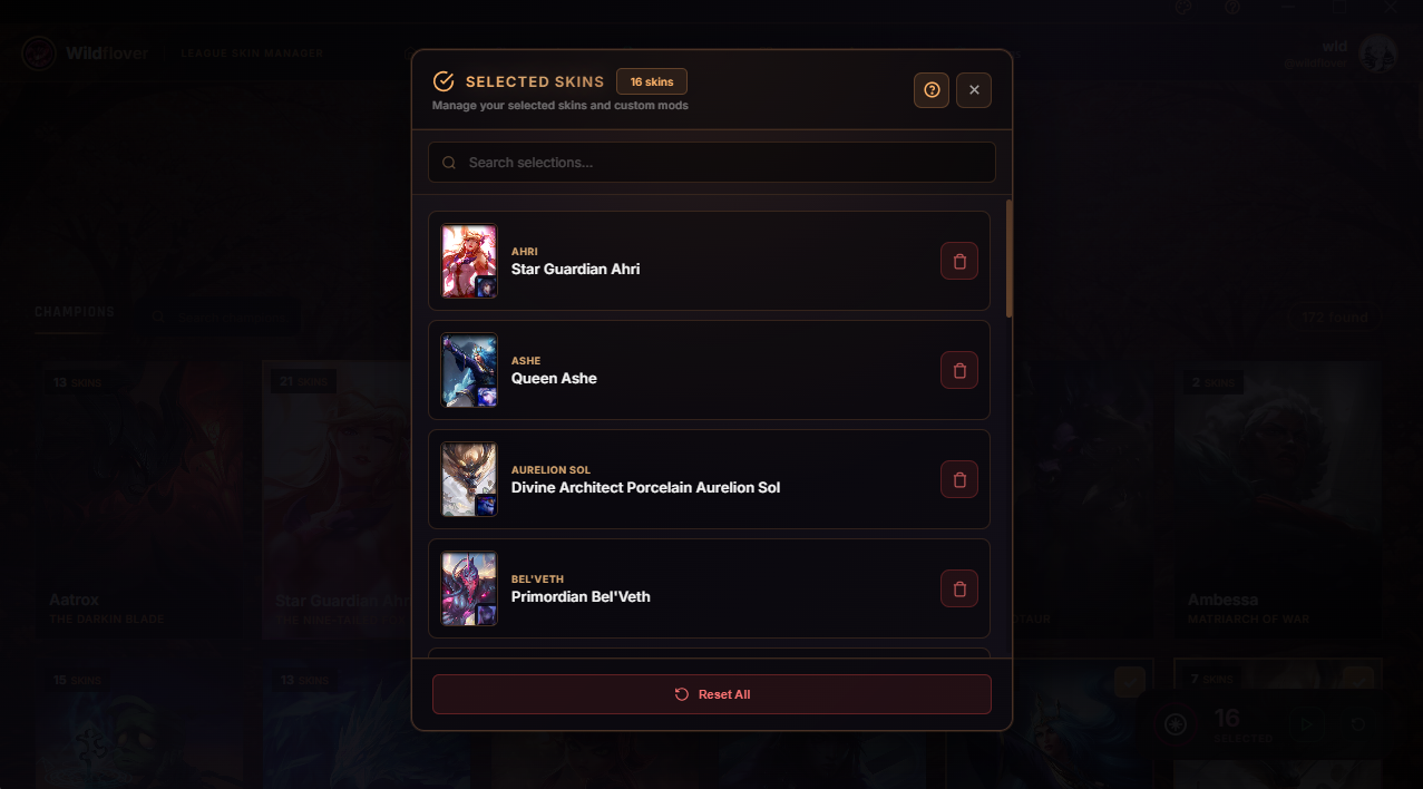 Selected skins panel showing active skin choices